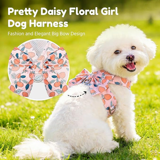 BAEJMJK Dog Harness and Leash Set with Bow Knot No Pull Pet Floral Harness with D-Ring Soft Mesh Dog Harness Vest Set Escape Proof Princess Puppy Harness for Small Girl Dogs Cats(Orange XS)