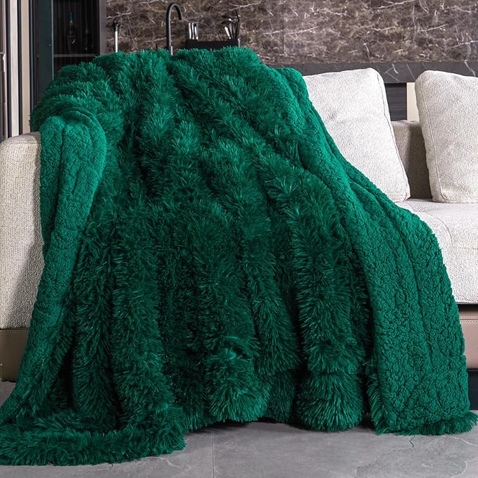 Pawque Faux Fur Throw Blankets 50x60 Inches, Soft Fuzzy Fluffy Blanket, Warm Thick Sherpa Long Hair Shag Reversible Lightweight Cozy Throw for Bedroom Sofa Couch, Green