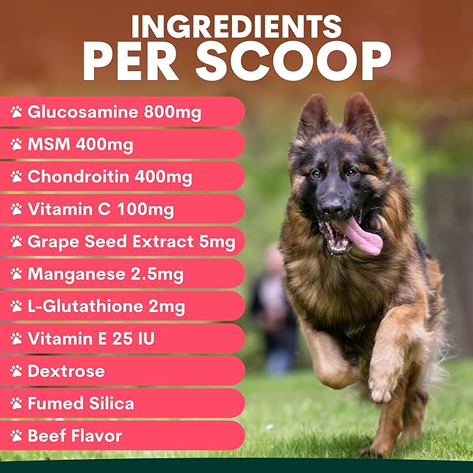 Petz Park Hip + Joint for Dogs 45 Scoops, Glucosamine for Dogs with Chondroitin and MSM, Dog Hip and Joint Supplement for Mobility Support, Dog Food Topper Powder for Joint Health and Flexibility