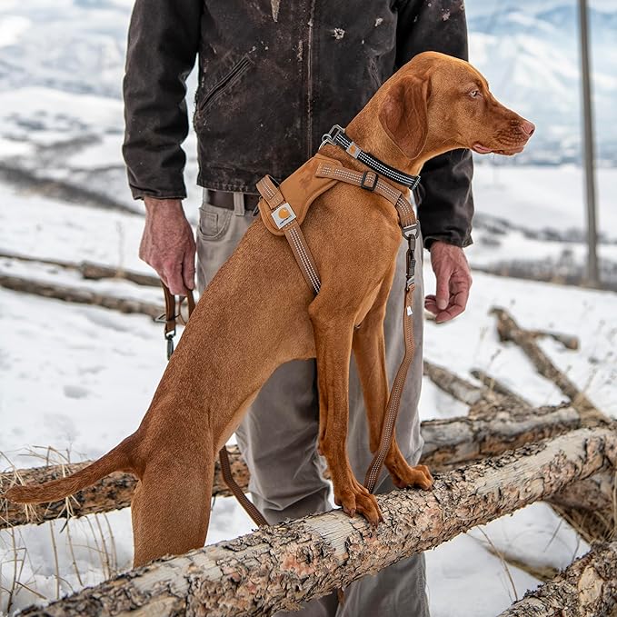 Carhartt Nylon Duck No Pull Dog Harness, Fully Adjustable Dog Harness with Quick Control Handle and Reflective Accents, Carhartt Brown, X-Large