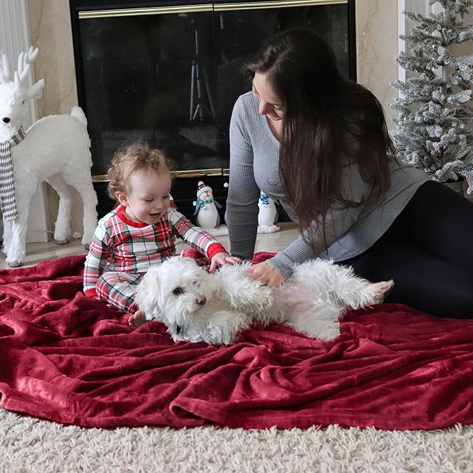 Flannel Fleece Luxury Blanket Red Queen(90"x90") Size Lightweight Cozy Plush Microfiber Solid Blanket by Bedsure
