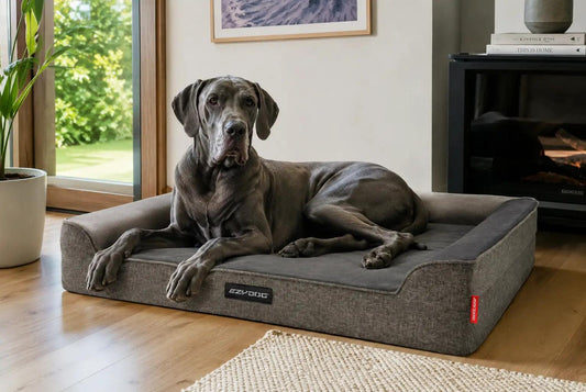 Best Dog Beds for Large Breeds