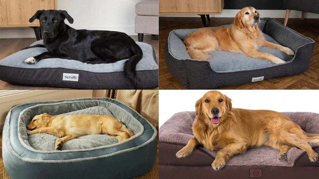 How to Choose the Perfect Dog Bed for Your Pet