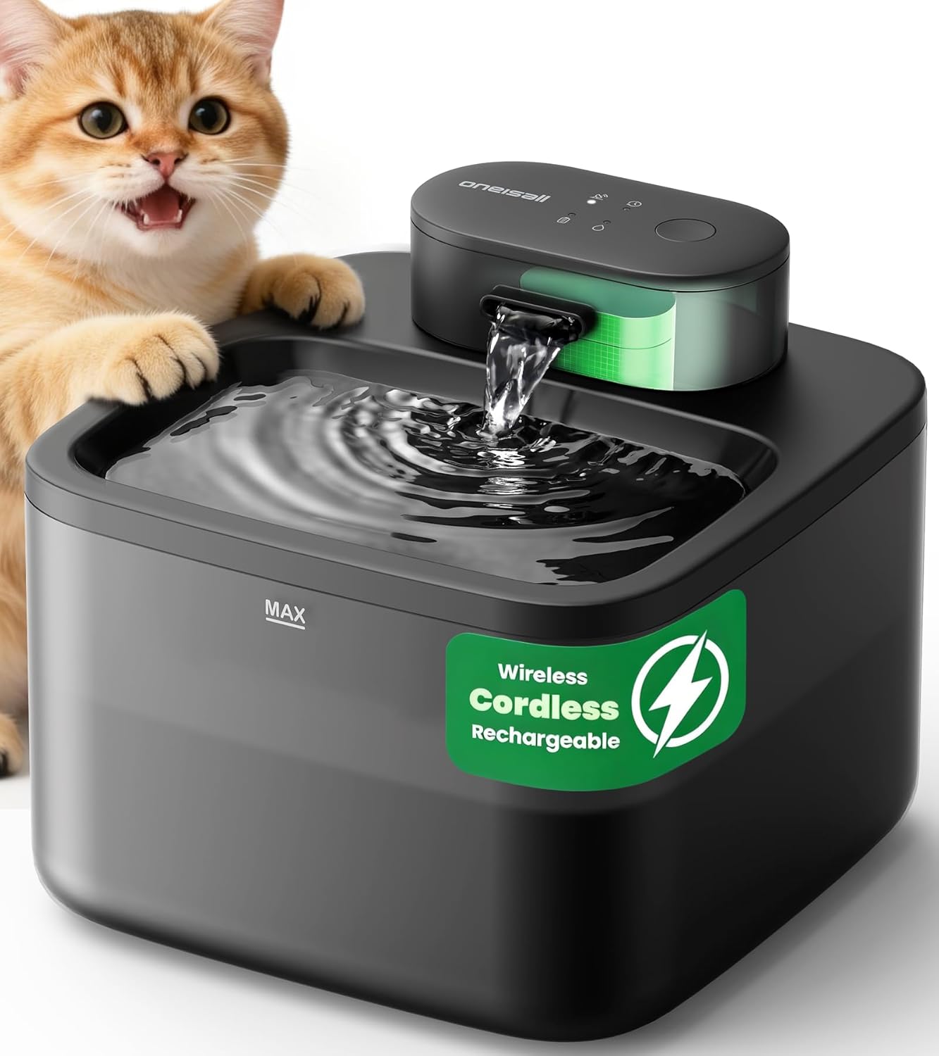 Automatic Water Fountains
