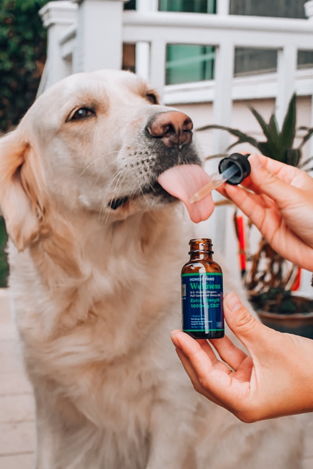Calming Supplements