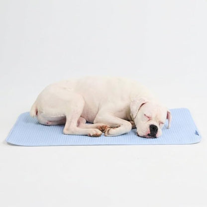 Spark Paws Cooling Mat for Dogs - Self Cooling Dog Mat & Pet Cooling Pad for Large, Medium & Small Dogs - Non-Toxic, Non-Gel Washable Cooling Bed - Waffle Blue - Size XL