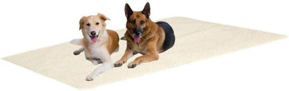 Crufts Self-Heating Pet Pad in Colour Box with Carry Handle
