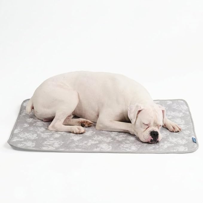 Spark Paws Cooling Mat for Dogs - Self Cooling Dog Mat & Pet Cooling Pad for Large, Medium & Small Dogs - Non-Toxic, Non-Gel Washable Cooling Bed - Cloud Grey - Size XL