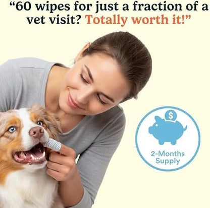 Jasper Dog Dental Wipes, Vet-Recommended Natural Cat & Dog Teeth Cleaning Wipes Dog Teeth Cleaner, Disposable Wipes Fresh Breath PlaqLift Technology Attacks Plaque and Buildup, Coconut, 60 Count