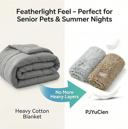 PJYuCien Dog Blanket for Dogs, Puppies and Pets, Lightweight & Portable Fluffy Fleece Throw, Super Soft Plush Cat Blanket for Couch/Car Seat/Furniture, Machine Washable, 30"x40", Beige