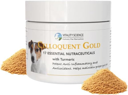 Vitality Science Celloquent Gold for Dogs | Holistic Advanced Immune Support Supplement | 17 Proven Ingredients | Auto Immune, Vomiting and Diarrhea, Depression (120g)