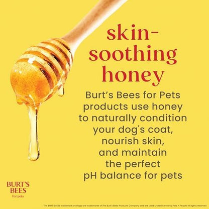 Burt's Bees for Pets Gentle Cleansing Puppy Wipes with Buttermilk, 98% Natural Origin Formulas, Hypoallergenic Dog Wipes Cleaning, Dog Cleaning Wipes, Dog Wipes for Paws and Butt, 50ct