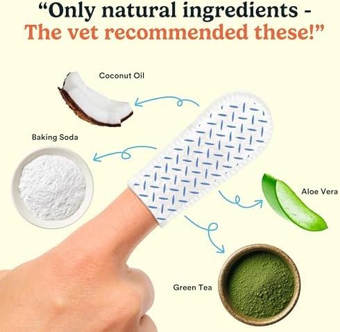 Jasper Dog Dental Wipes, Vet-Recommended Natural Cat & Dog Teeth Cleaning Wipes Dog Teeth Cleaner, Disposable Wipes Fresh Breath PlaqLift Technology Attacks Plaque and Buildup, Coconut, 60 Count