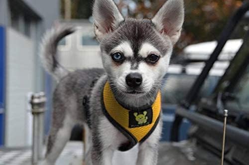 EcoBark Dog Harness - Eco-Friendly Max Comfort Harnesses - Luxurious Soft Mesh Halter - Over the Head Harness Vest- No Pull and No Choke for Small, Toy Breed, and Teacup Dogs (XS, Yellow)