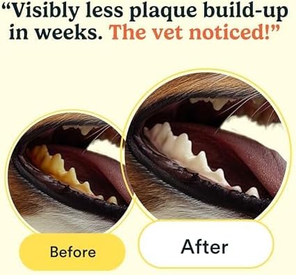 Jasper Dog Dental Wipes, Vet-Recommended Natural Cat & Dog Teeth Cleaning Wipes Dog Teeth Cleaner, Disposable Wipes Fresh Breath PlaqLift Technology Attacks Plaque and Buildup, Coconut, 60 Count