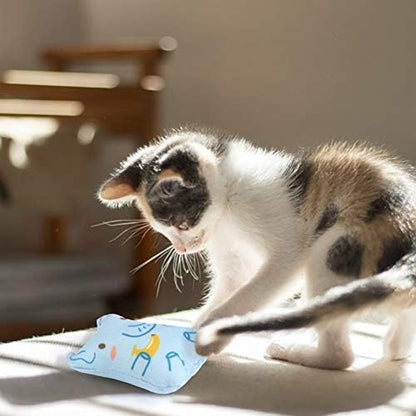 Dorakitten Catnip Toys for Indoor Cats - 5PCS Plush Cat Chew Toys Teething Interactive Catnip Filled Kitten Toy Soft Pet Toy