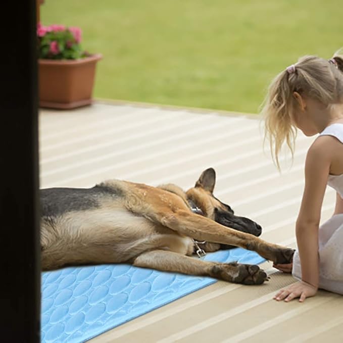 2026 Upgraded Washable Dog Cooling Mat Ice Silk Cooling Mat for Dogs Pet Self Cooling Pad Blanket Dog Cooling Pad (Q-Max>0.4) for Indoor & Outdoor Car Seats (Blue, 59x39 in)