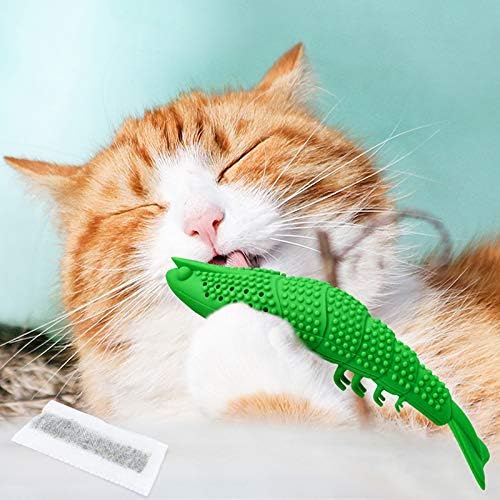 Smokey's Stash Cat Toy Interactive Catnip Dental chew cat Toothbrush refillable with Bell (Toy)