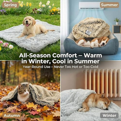 PJYuCien Dog Blanket for Dogs, Puppies and Pets, Lightweight & Portable Fluffy Fleece Throw, Super Soft Plush Cat Blanket for Couch/Car Seat/Furniture, Machine Washable, 30"x40", Beige