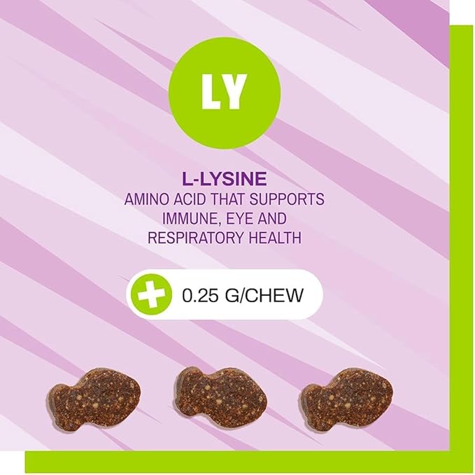 Pet Naturals Lysine for Cats, Chicken Flavor, 60 Chews - Immune and Respiratory Support for Cats - No Wheat or Corn - Vet Recommended