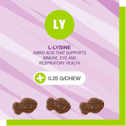 Pet Naturals Lysine for Cats, Chicken Flavor, 60 Chews - Immune and Respiratory Support for Cats - No Wheat or Corn - Vet Recommended