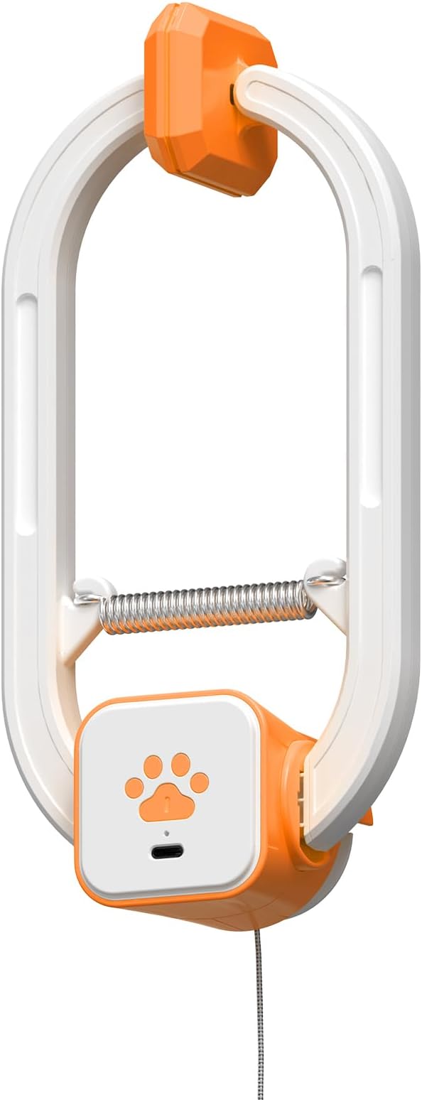 Rechargeable Electric Cat Teaser with Remote – Interactive Door Clip Teaser for Cats, 2 Motion Modes (360° Spin & Irregular Jumping), Smart Auto Cat Toy for Exercise & Fun (No Remote)(Orange)