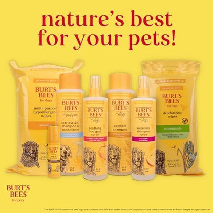 Burt's Bees for Pets Honey Multipurpose Dog Grooming Wipes, Gentle Hypoallergenic Spot Cleaning Sheets, pH Balanced Natural Origin Formula for Paws, Face and Butt, 50 Count - 2 Pack