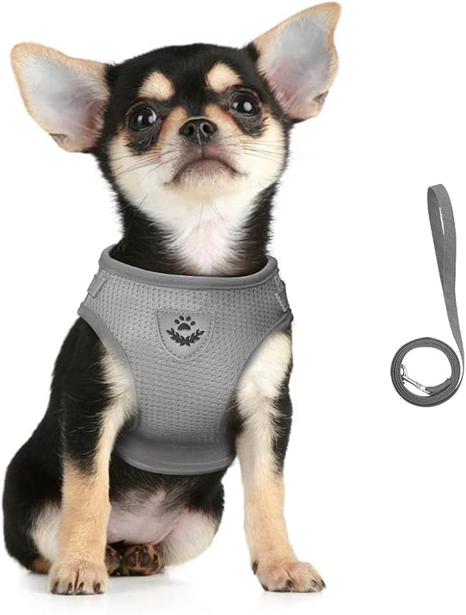 FEimaX Dog Harness and Leash Set for Walking, Soft Mesh Adjustable Easy Control Lightweight Cat Vest Harnesses with Reflective Strips, Escape Proof Small Dogs Cats Vests (Grey, Small)