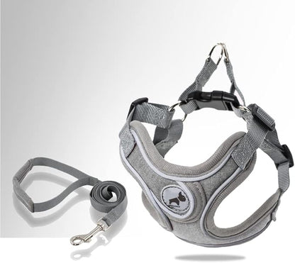 Dog Harness with Leash Set, Puppy Harnesses with Breathable Padded for Small Dogs Training and Running(XS, Gray)