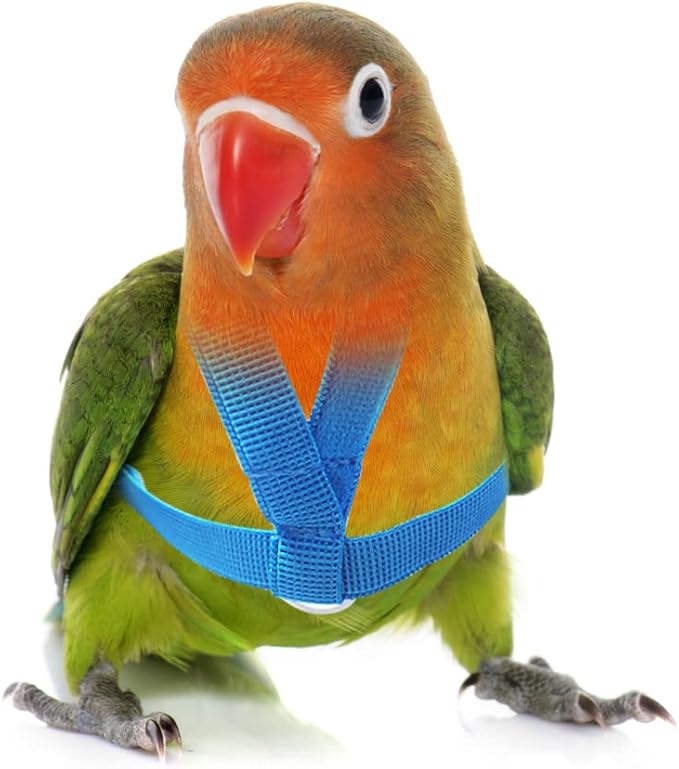 VANFAVORI Adjustable Bird Harness with 80 Inch Leash, XS Size for Peony Parrot Love Bird Weight 40-55 Grams with Outdoor Flying Training Rope, Blue