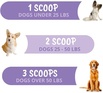 Under The Weather Calming Powder for Dogs | Vet Formulated All-Natural Calming Supplement for Dogs | Help Reduce Stress & Anxiety for Dogs | 120 Servings