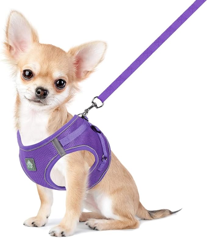FEimaX Dog Harness and Leash Set, No-Pull Breathable Soft Mesh Puppy Vest Harness Reflective Adjustable Pet Harnesses for Small Medium Dogs and Cats - Outdoor Easy Control for Walking (L, Purple)