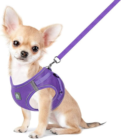 FEimaX Dog Harness and Leash Set, No-Pull Breathable Soft Mesh Puppy Vest Harness Reflective Adjustable Pet Harnesses for Small Medium Dogs and Cats - Outdoor Easy Control for Walking (L, Purple)