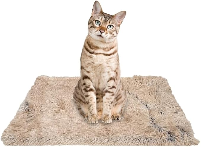 PJYuCien Dog Blanket for Dogs, Puppies and Pets, Lightweight & Portable Fluffy Fleece Throw, Super Soft Plush Cat Blanket for Couch/Car Seat/Furniture, Machine Washable, 16"x24", Beige