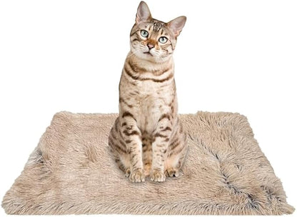 PJYuCien Dog Blanket for Dogs, Puppies and Pets, Lightweight & Portable Fluffy Fleece Throw, Super Soft Plush Cat Blanket for Couch/Car Seat/Furniture, Machine Washable, 16"x24", Beige