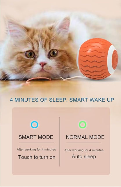 Cat Toys Interactive Spinning Ball, Automatic Rolling Smart for Cats Training, with Flashing LED Lights, and it’s USB Rechargeable. Food Grade Silicone Material. Blue
