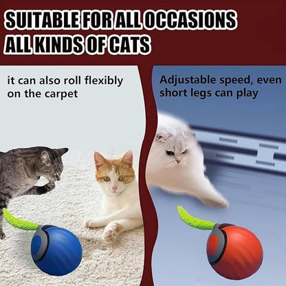 Speedy 2.0 Tail Interactive Cat Toys for Indoor Cats, Automatic Cat Toy with Tail, Electric Rolling Ball on Carpet,Cat Toys for Bored Indoor Adult Cats (Blue)