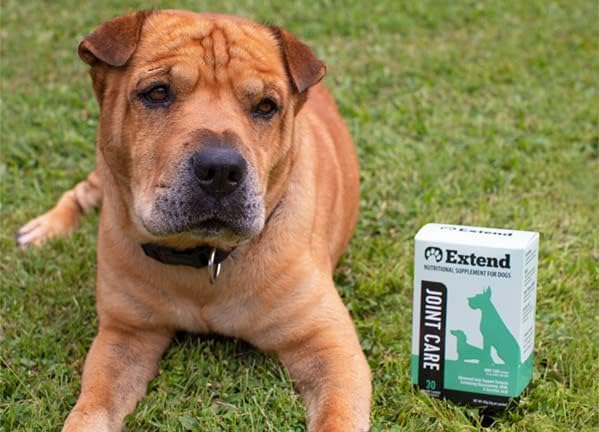 Extend Joint Care for Dogs - Hip and Joint Supplement Powder - Glucosamine for Dogs - Joint Pain Relief - MSM - Mobility & Flexibility Support - Advanced Joint Health - Made in USA