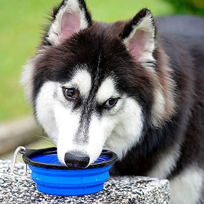 Kytely Large Collapsible Dog Bowls 2 Pack, 34oz Foldable Dog Travel Bowl, Portable Pet Water Food Bowl with Clasp, Pet Cat Feeding Cup Dish for Traveling, Walking, Hiking (Blue+Blue)
