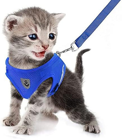 FEimaX Dog Harness and Leash Set for Walking, Soft Mesh Adjustable Easy Control Lightweight Cat Vest Harnesses with Reflective Strips, Escape Proof Small Dogs Cats Vests (Blue, Medium)