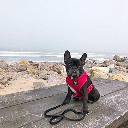EcoBark Dog Harness - Eco-Friendly Max Comfort Harnesses - Luxurious Soft Mesh Halter - Over The Head Harness Vest- No Pull and No Choke for Puppy, Small Breeds & Medium Dogs (Large, Fuchsia Pink)