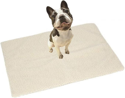 Crufts Self-Heating Pet Pad in Colour Box with Carry Handle