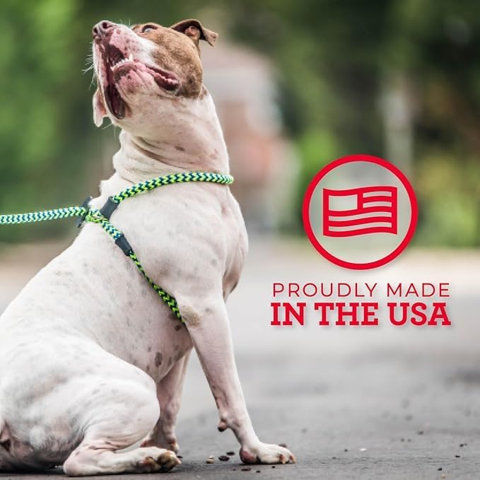 Harness Lead No Pull Dog Harness and Leash Set, Anti Pull Dog Harness, One-Piece Cushioned Rope Safely Prevents Escaping and Pulling (Extra Large, Black Reflective)