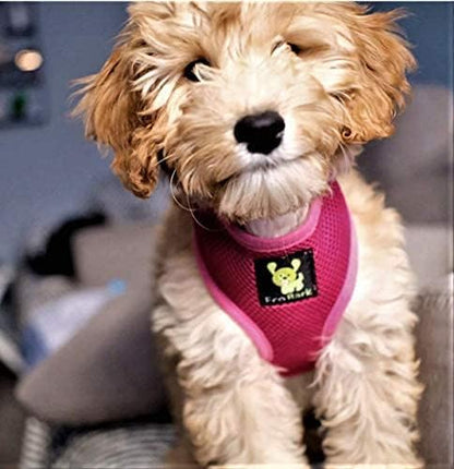 EcoBark Dog Harness - Eco-Friendly Soft Over the Head Harness Vest - Toy Breed Dog Harness - Small Mesh Vest for Puppies & Little Dogs (Small, Pink)