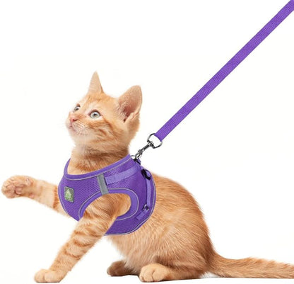 FEimaX Dog Harness and Leash Set, No-Pull Breathable Soft Mesh Puppy Vest Harness Reflective Adjustable Pet Harnesses for Small Medium Dogs and Cats - Outdoor Easy Control for Walking (M, Purple)