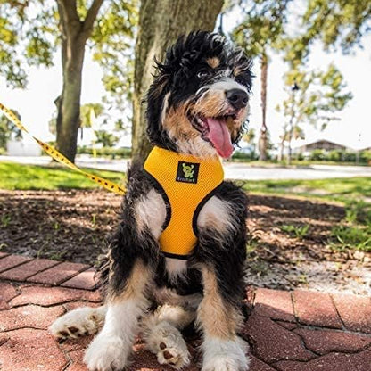 EcoBark Dog Harness - Eco-Friendly Max Comfort Harnesses - Luxurious Soft Mesh Halter - Over The Head Harness Vest- No Pull and No Choke for Puppy, Small Breeds & Medium Dogs (Large, Yellow)