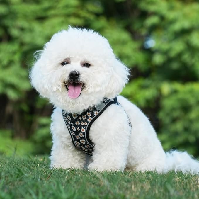 Small Dog Harness Black Daisy Flowers No Pull Reflective Step in Vest Harness Mesh Padded Soft Harness for Small Medium Dogs Cats