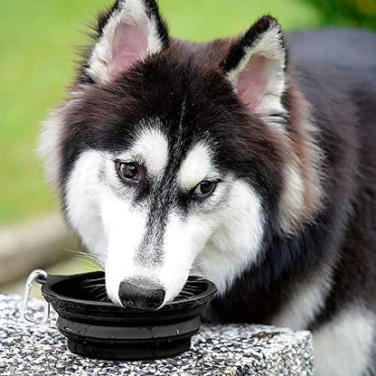 Kytely Large Collapsible Dog Bowls 2 Pack, 34oz Foldable Dog Travel Bowl, Portable Pet Water Food Bowl with Clasp, Pet Cat Feeding Cup Dish for Traveling, Walking, Hiking (Black+Black)
