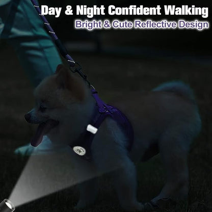 BEAUTYZOO Small Dog Harness and Leash Set,Step in No Choke No Pull Soft Mesh Dog Harnesses Reflective for Extra-Small/Small Medium Puppy Dogs and Cats, Plaid Dog Vest Harness for XS S Pets, Purple XXS