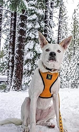 EcoBark Dog Harness - Eco-Friendly Max Comfort Harnesses - Luxurious Soft Mesh Halter - Over The Head Harness Vest- No Pull and No Choke for Puppy, Small Breeds & Medium Dogs (Large, Yellow)